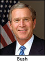 Bush